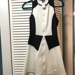 NWT Buffalo David Britton neoprene skater dress